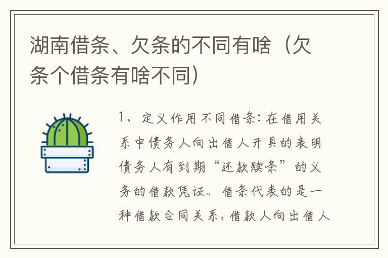 湖南借条、欠条的不同有啥（欠条个借条有啥不同）