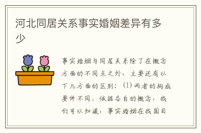 河北同居关系事实婚姻差异有多少