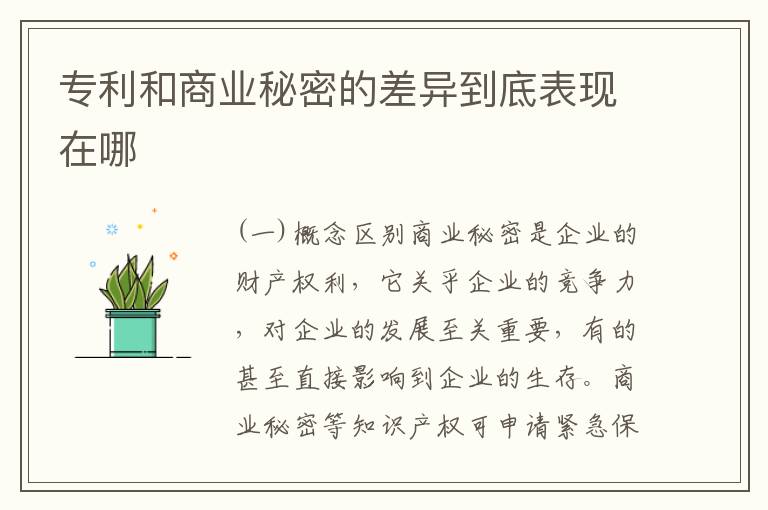 专利和商业秘密的差异到底表现在哪