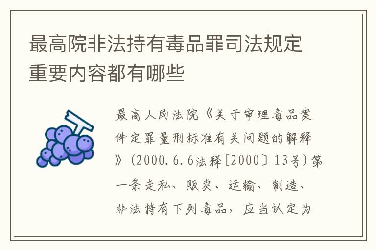最高院非法持有毒品罪司法规定重要内容都有哪些