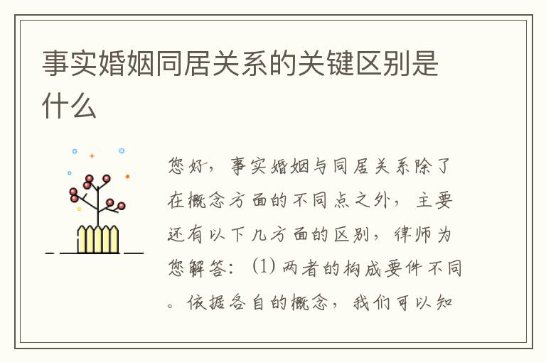 事实婚姻同居关系的关键区别是什么