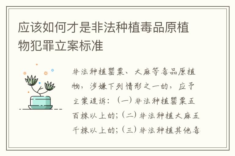 应该如何才是非法种植毒品原植物犯罪立案标准