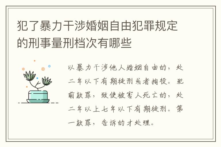 犯了暴力干涉婚姻自由犯罪规定的刑事量刑档次有哪些