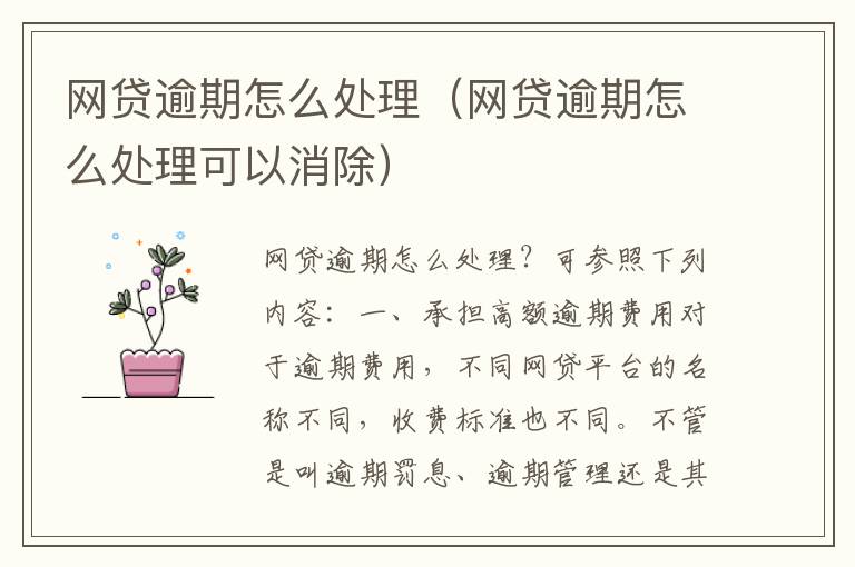 网贷逾期怎么处理（网贷逾期怎么处理可以消除）