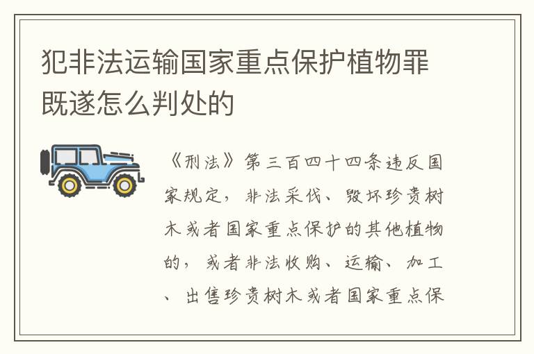 犯非法运输国家重点保护植物罪既遂怎么判处的