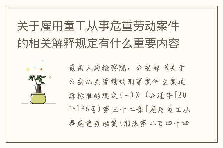 关于雇用童工从事危重劳动案件的相关解释规定有什么重要内容