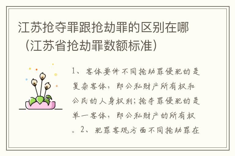 江苏抢夺罪跟抢劫罪的区别在哪（江苏省抢劫罪数额标准）