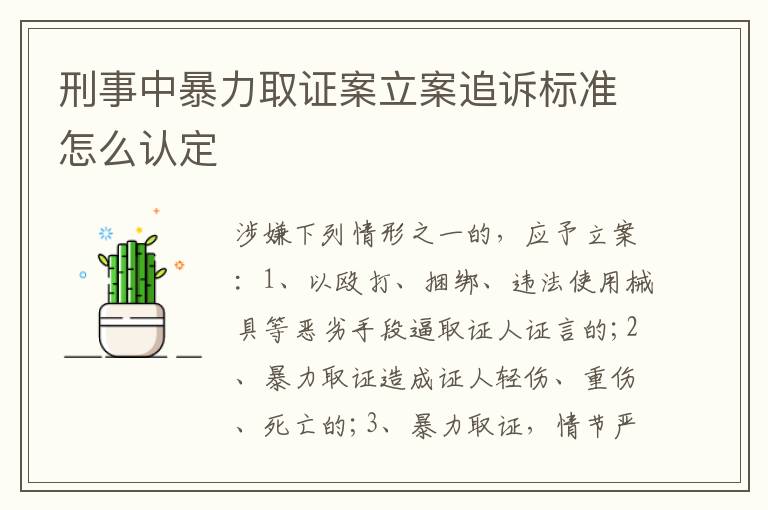 刑事中暴力取证案立案追诉标准怎么认定