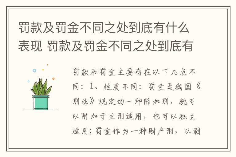 罚款及罚金不同之处到底有什么表现 罚款及罚金不同之处到底有什么表现呢