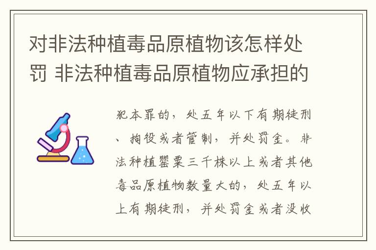 对非法种植毒品原植物该怎样处罚 非法种植毒品原植物应承担的法律责任