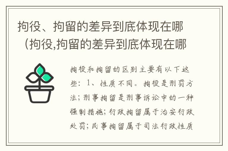 拘役、拘留的差异到底体现在哪（拘役,拘留的差异到底体现在哪方面）