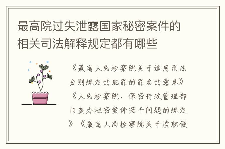 最高院过失泄露国家秘密案件的相关司法解释规定都有哪些