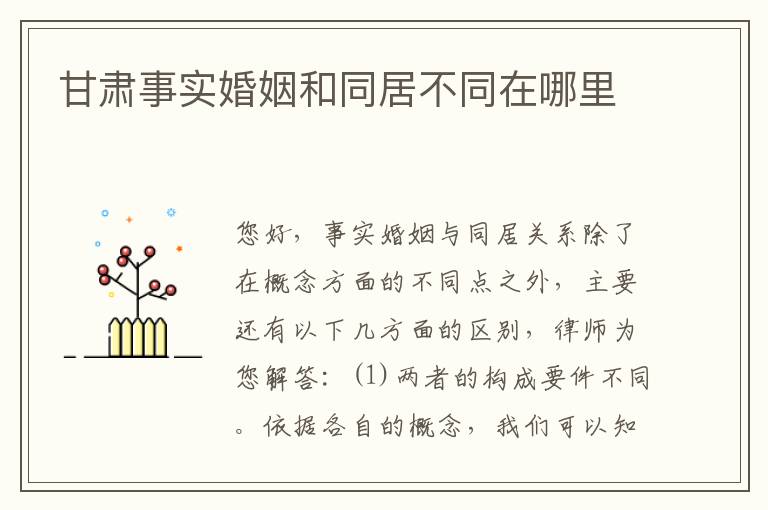 甘肃事实婚姻和同居不同在哪里