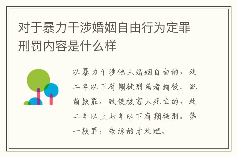 对于暴力干涉婚姻自由行为定罪刑罚内容是什么样