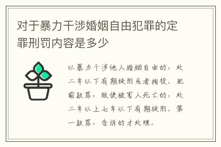 对于暴力干涉婚姻自由犯罪的定罪刑罚内容是多少