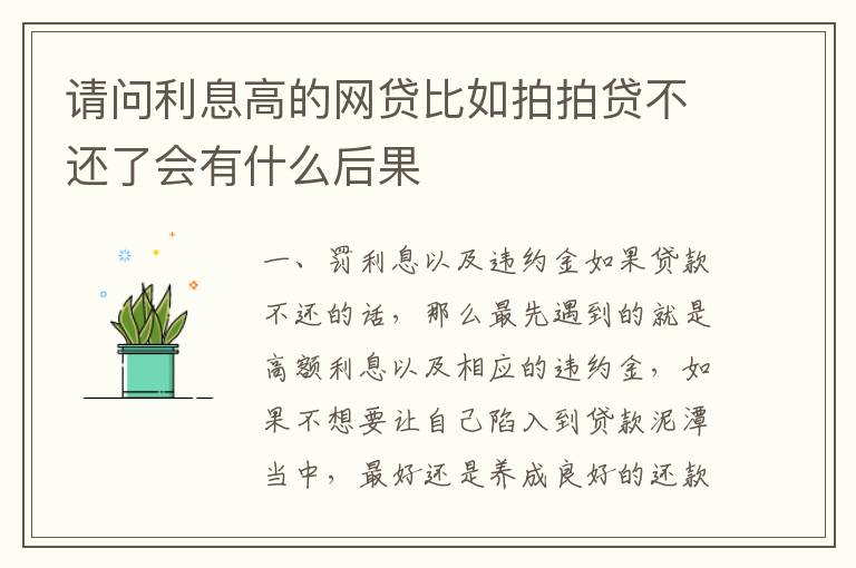 请问利息高的网贷比如拍拍贷不还了会有什么后果