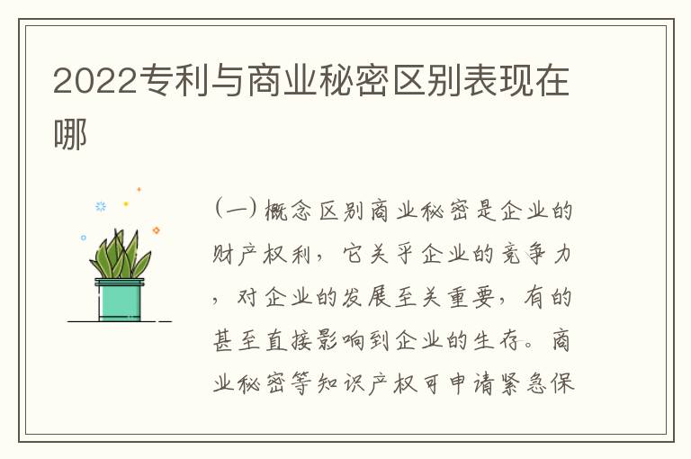 2022专利与商业秘密区别表现在哪