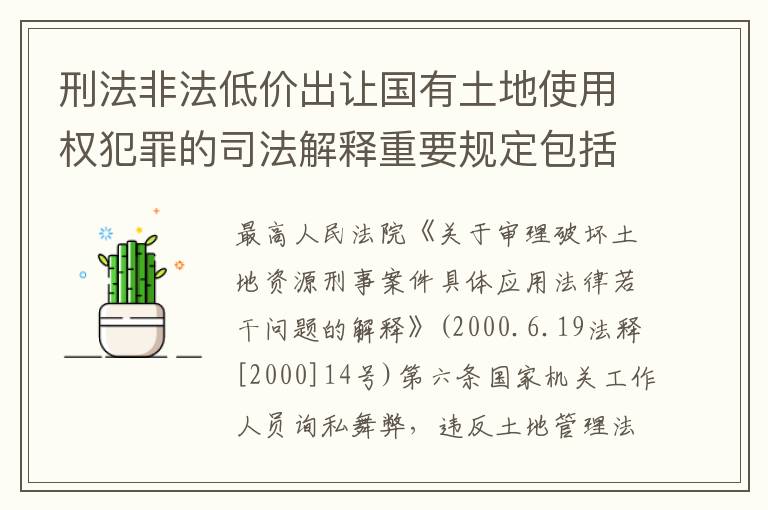 刑法非法低价出让国有土地使用权犯罪的司法解释重要规定包括什么