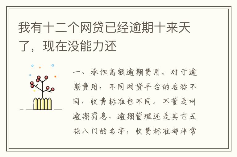 我有十二个网贷已经逾期十来天了，现在没能力还
