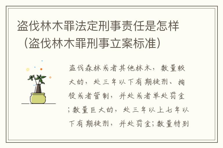 盗伐林木罪法定刑事责任是怎样（盗伐林木罪刑事立案标准）