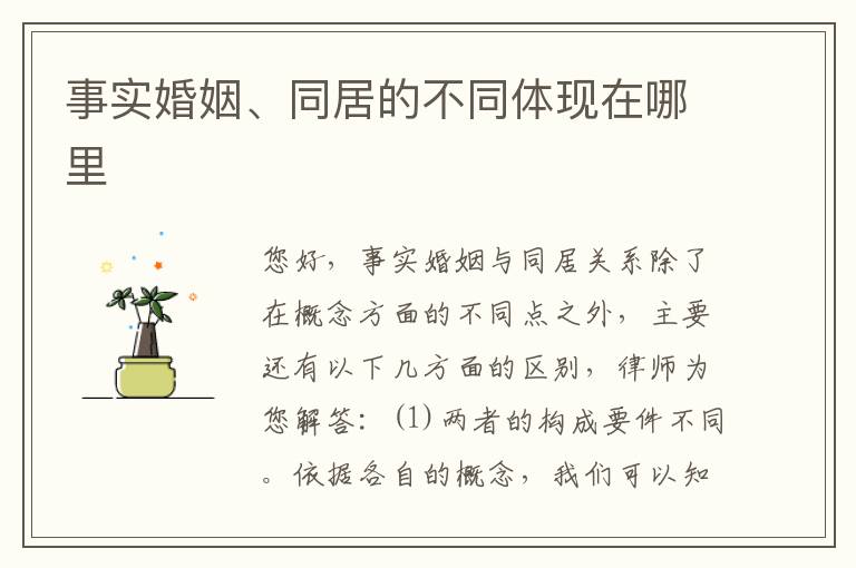 事实婚姻、同居的不同体现在哪里