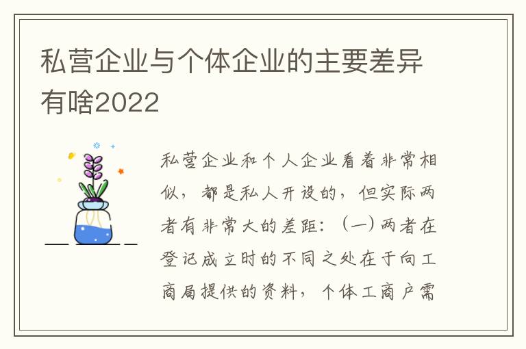 私营企业与个体企业的主要差异有啥2022