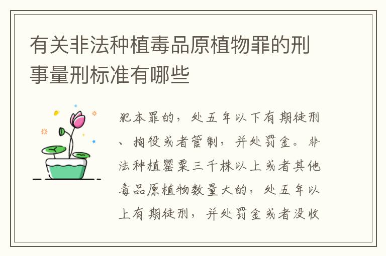 有关非法种植毒品原植物罪的刑事量刑标准有哪些
