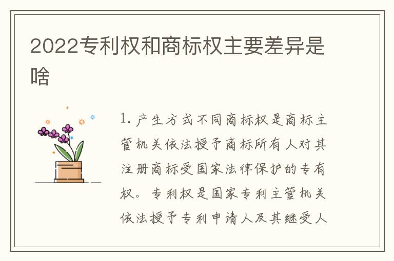 2022专利权和商标权主要差异是啥