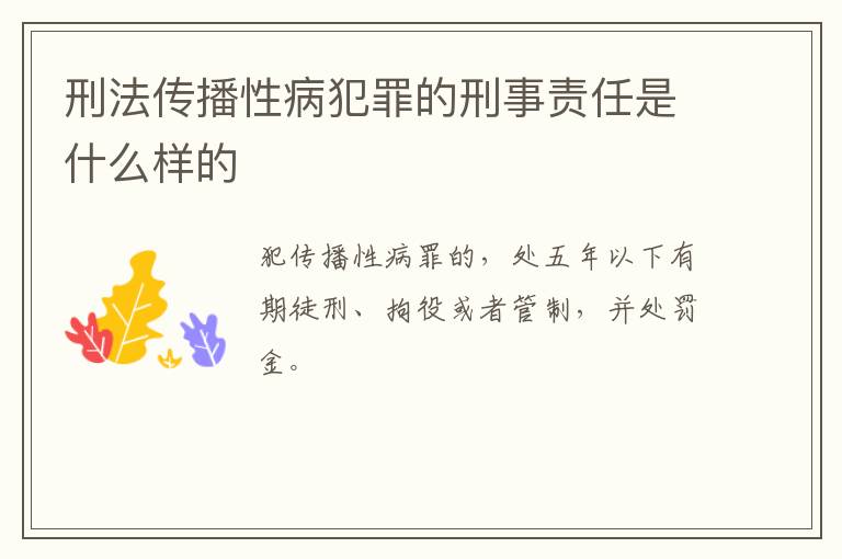 刑法传播性病犯罪的刑事责任是什么样的