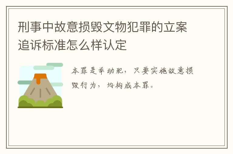 刑事中故意损毁文物犯罪的立案追诉标准怎么样认定