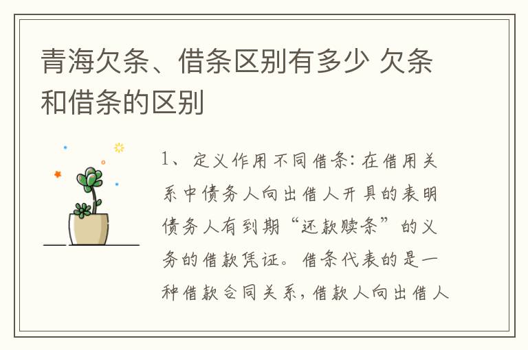 青海欠条、借条区别有多少 欠条和借条的区别