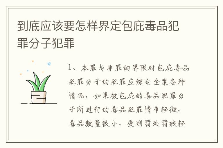 到底应该要怎样界定包庇毒品犯罪分子犯罪