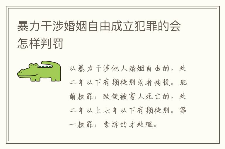 暴力干涉婚姻自由成立犯罪的会怎样判罚