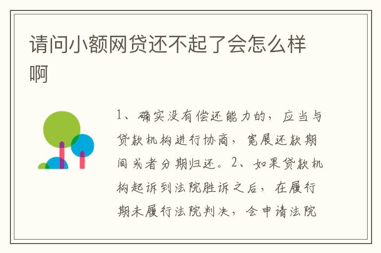 请问小额网贷还不起了会怎么样啊