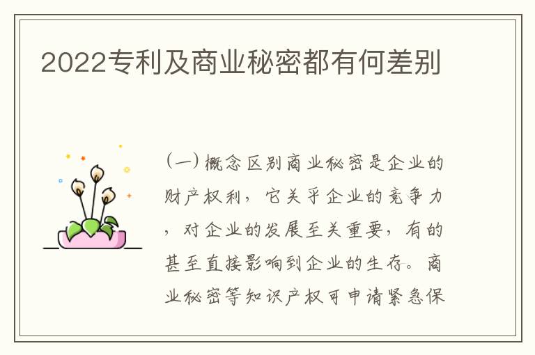 2022专利及商业秘密都有何差别