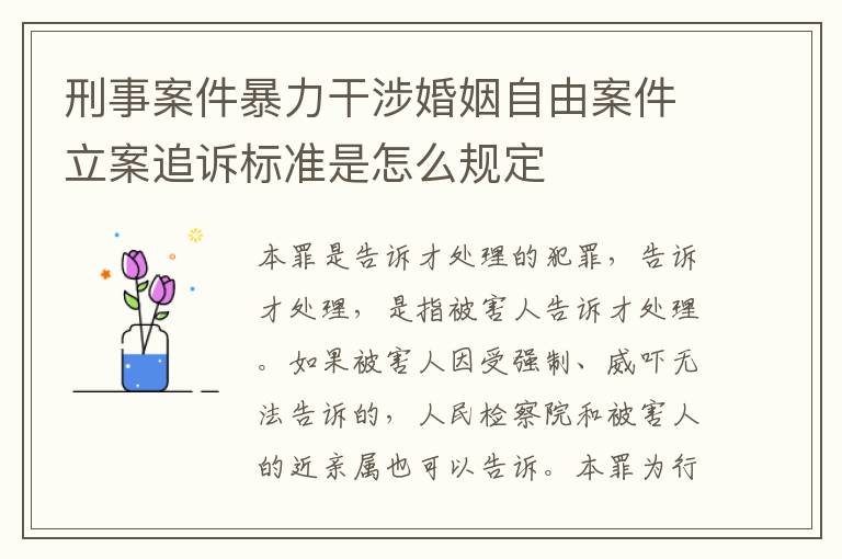 刑事案件暴力干涉婚姻自由案件立案追诉标准是怎么规定