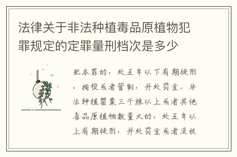 法律关于非法种植毒品原植物犯罪规定的定罪量刑档次是多少