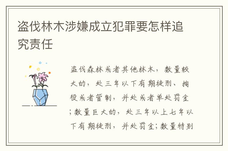 盗伐林木涉嫌成立犯罪要怎样追究责任