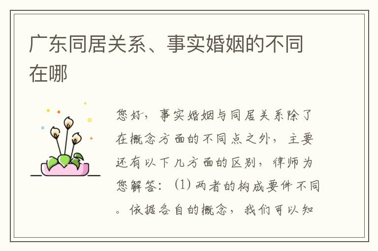 广东同居关系、事实婚姻的不同在哪