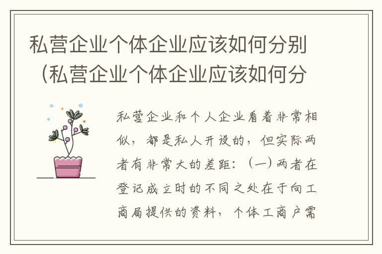 私营企业个体企业应该如何分别（私营企业个体企业应该如何分别管理）