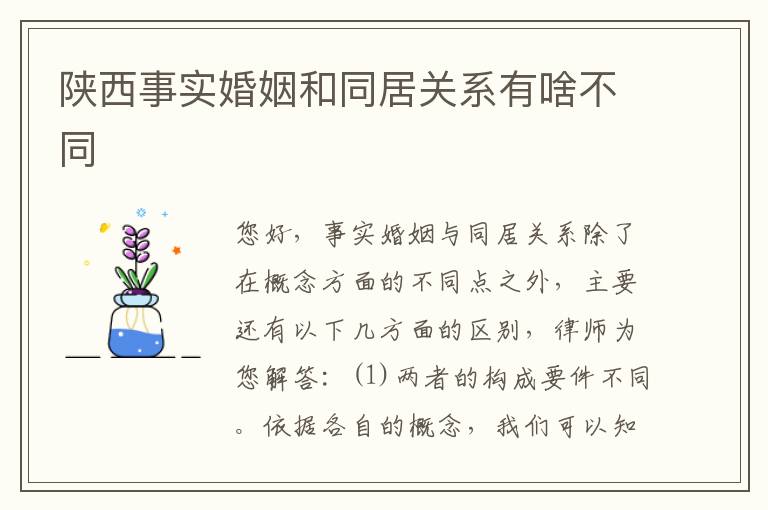陕西事实婚姻和同居关系有啥不同
