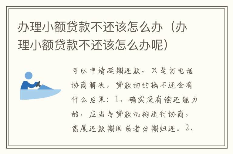 办理小额贷款不还该怎么办（办理小额贷款不还该怎么办呢）