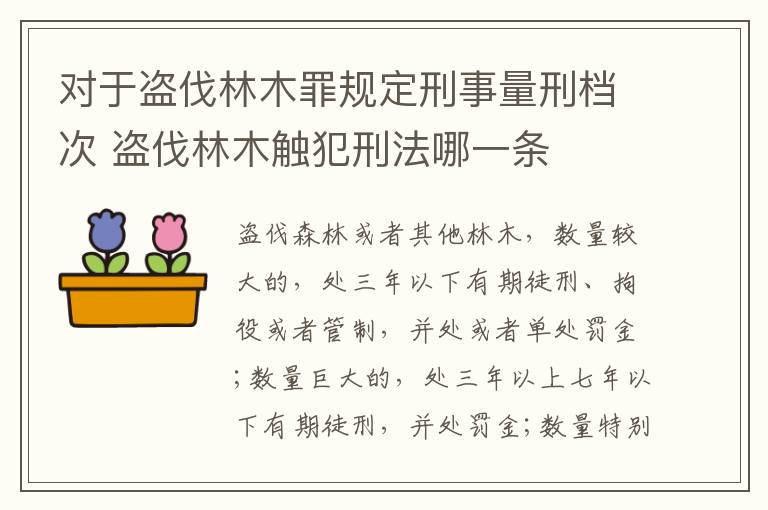 对于盗伐林木罪规定刑事量刑档次 盗伐林木触犯刑法哪一条