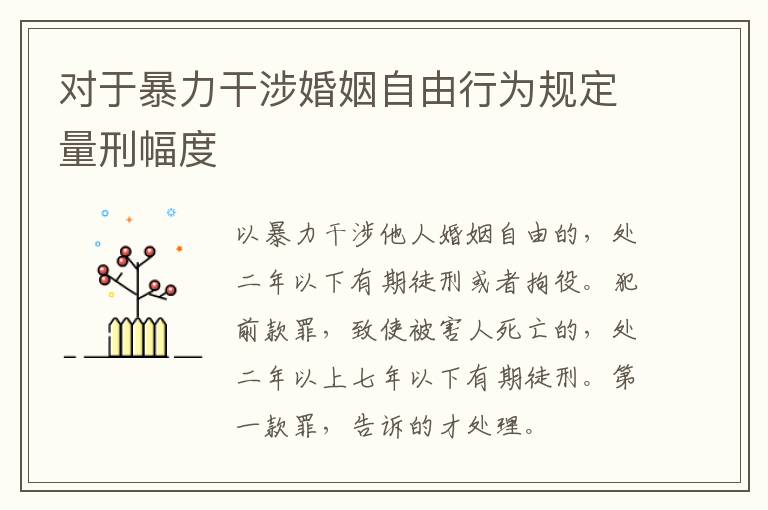 对于暴力干涉婚姻自由行为规定量刑幅度