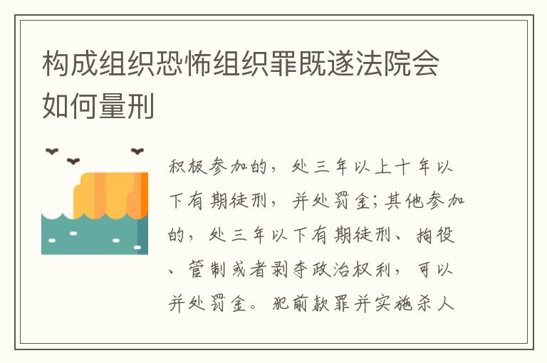 构成组织恐怖组织罪既遂法院会如何量刑