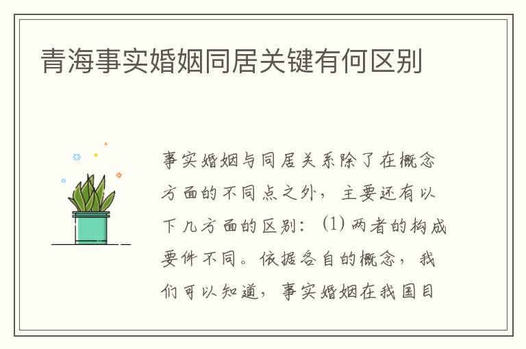 青海事实婚姻同居关键有何区别