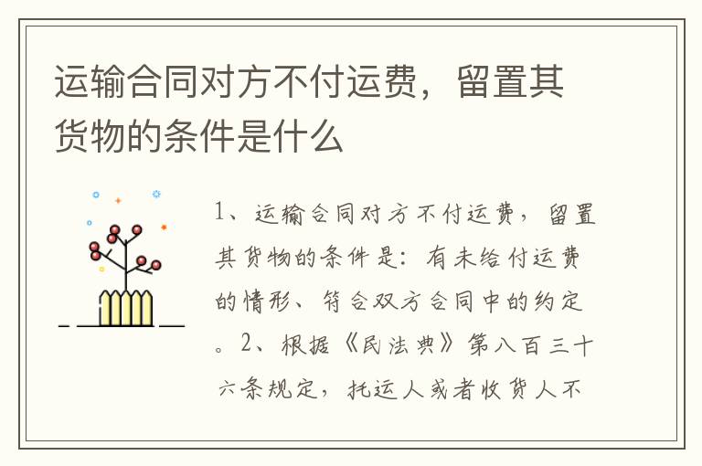 运输合同对方不付运费，留置其货物的条件是什么