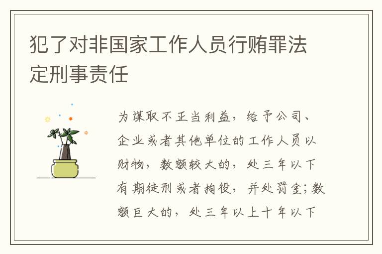 犯了对非国家工作人员行贿罪法定刑事责任