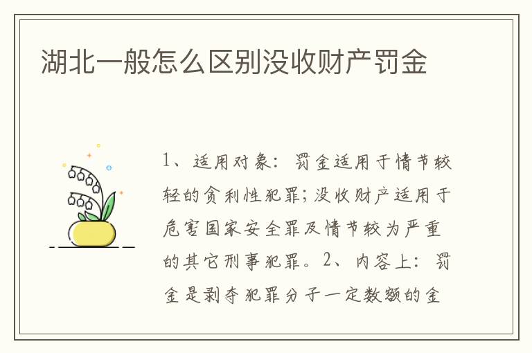 湖北一般怎么区别没收财产罚金