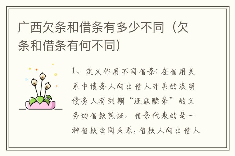 广西欠条和借条有多少不同（欠条和借条有何不同）